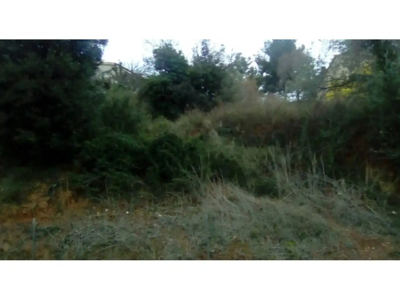 Terreny rústic en venda a Ponent, imagen 2