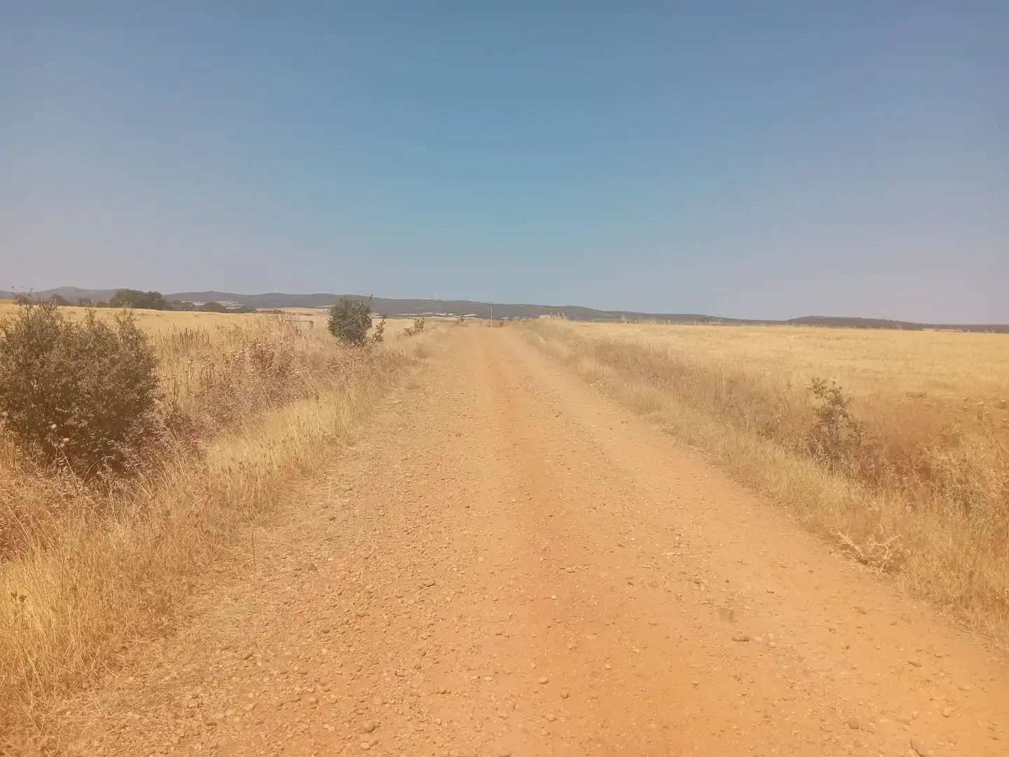Terreno en venta en Moreruela de Tábara