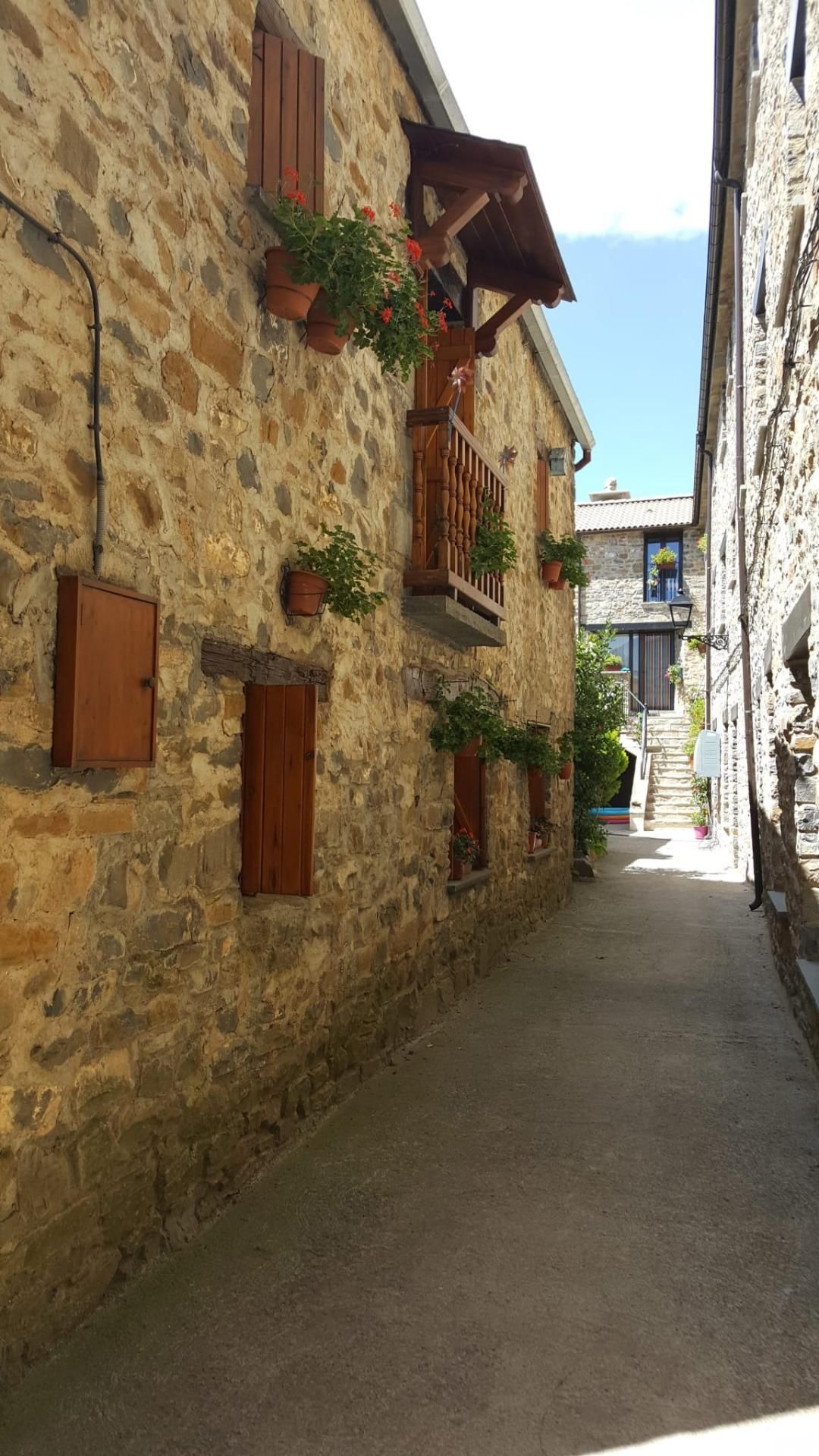 Exterior view of House or chalet for sale in Torla  with Balcony
