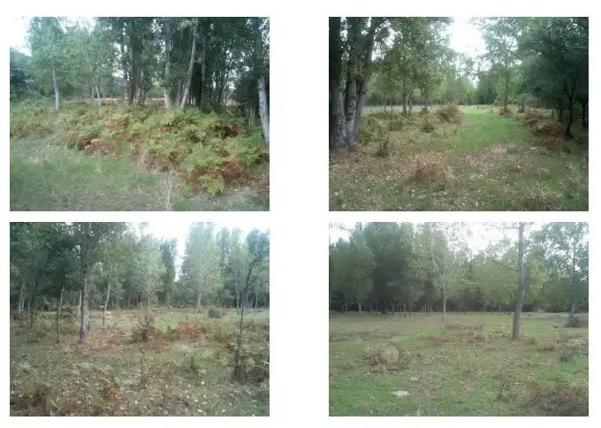 Rural land for sale in Medina de Pomar