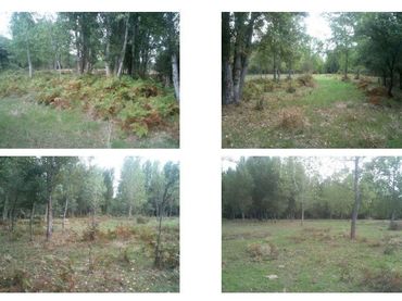 Rural land for sale in Medina de Pomar