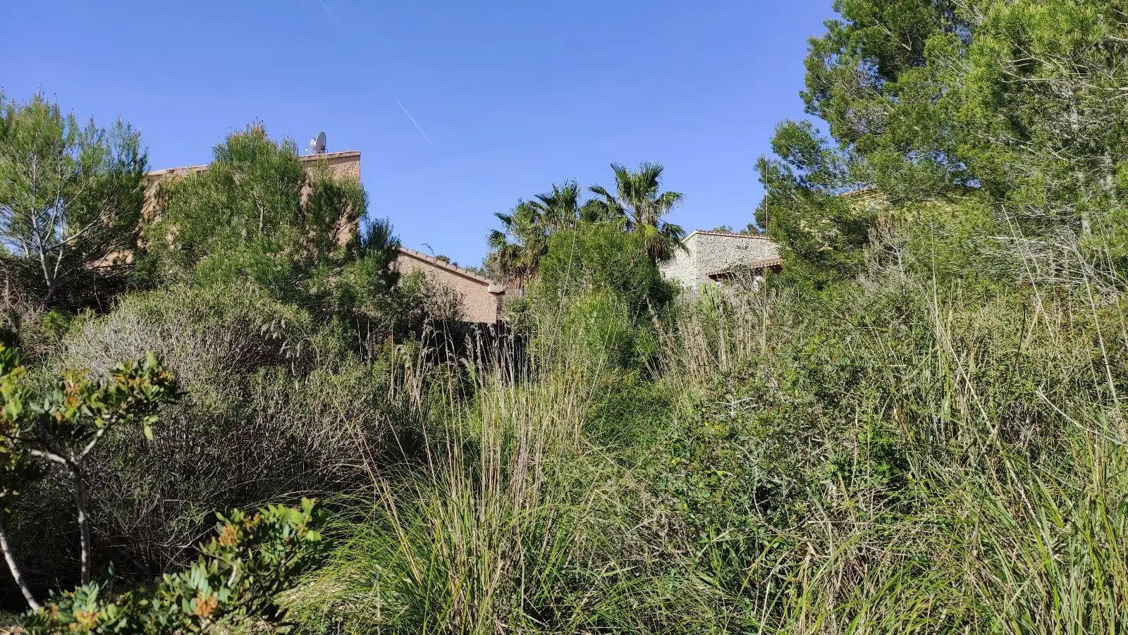 Land for sale in Cala Mesquida
