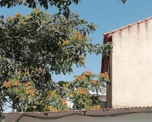 Vista exterior de Casa o xalet en venda en Peñarroya-Pueblonuevo