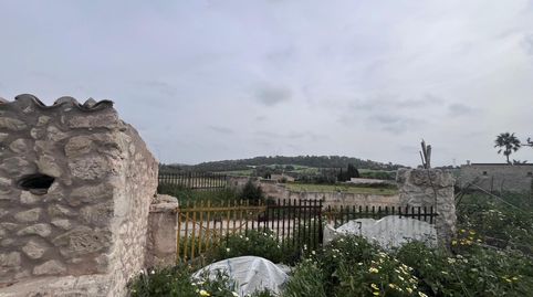 Foto 4 de Finca rústica en venda a Poligono 7 Paraje 169 Son Gili, Llubí, Illes Balears
