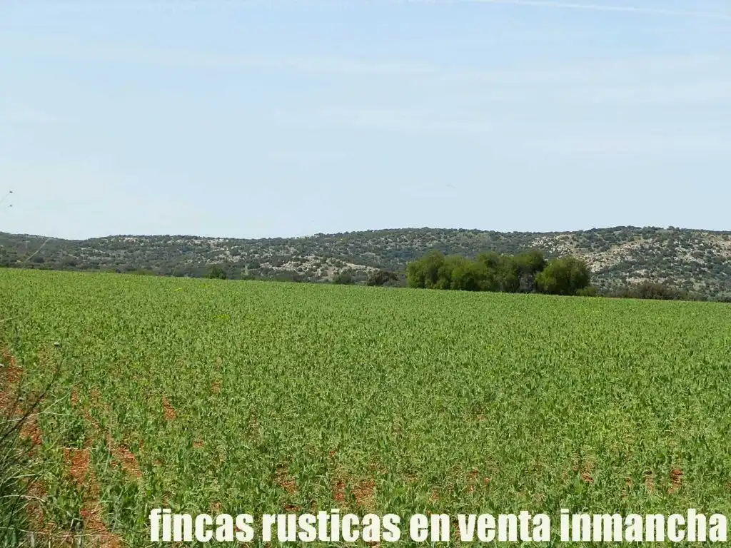 Terreno rustico in vendita a Centro - Plaza Mayor, imagen 20