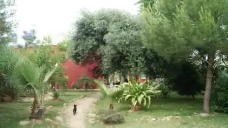 Residential land for sale in Almodóvar del Río, imagen 5
