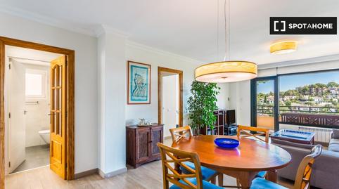 Photo 4 of Apartment to share in Cala Major, Illes Balears