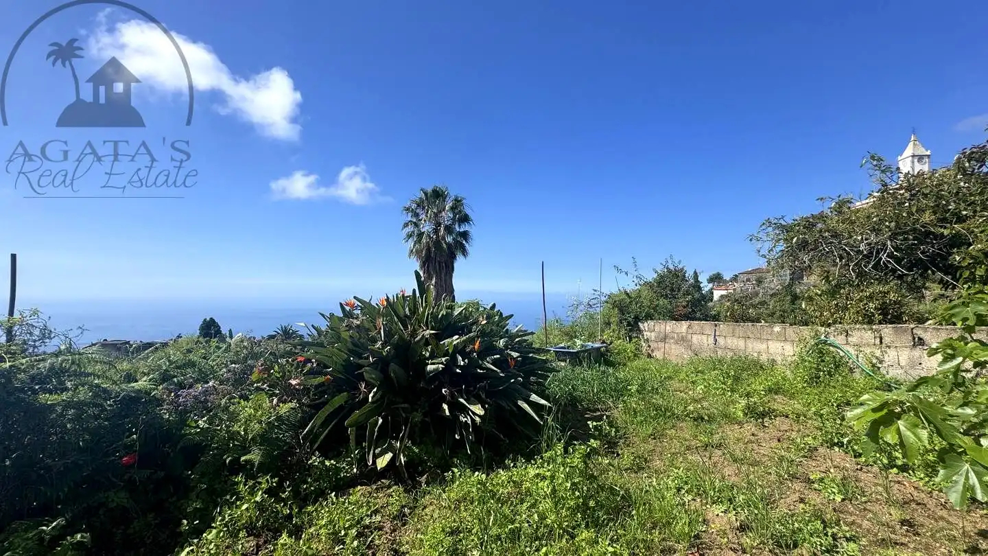 Casa o xalet en venda en La Guancha amb Jardí privat i Moblat