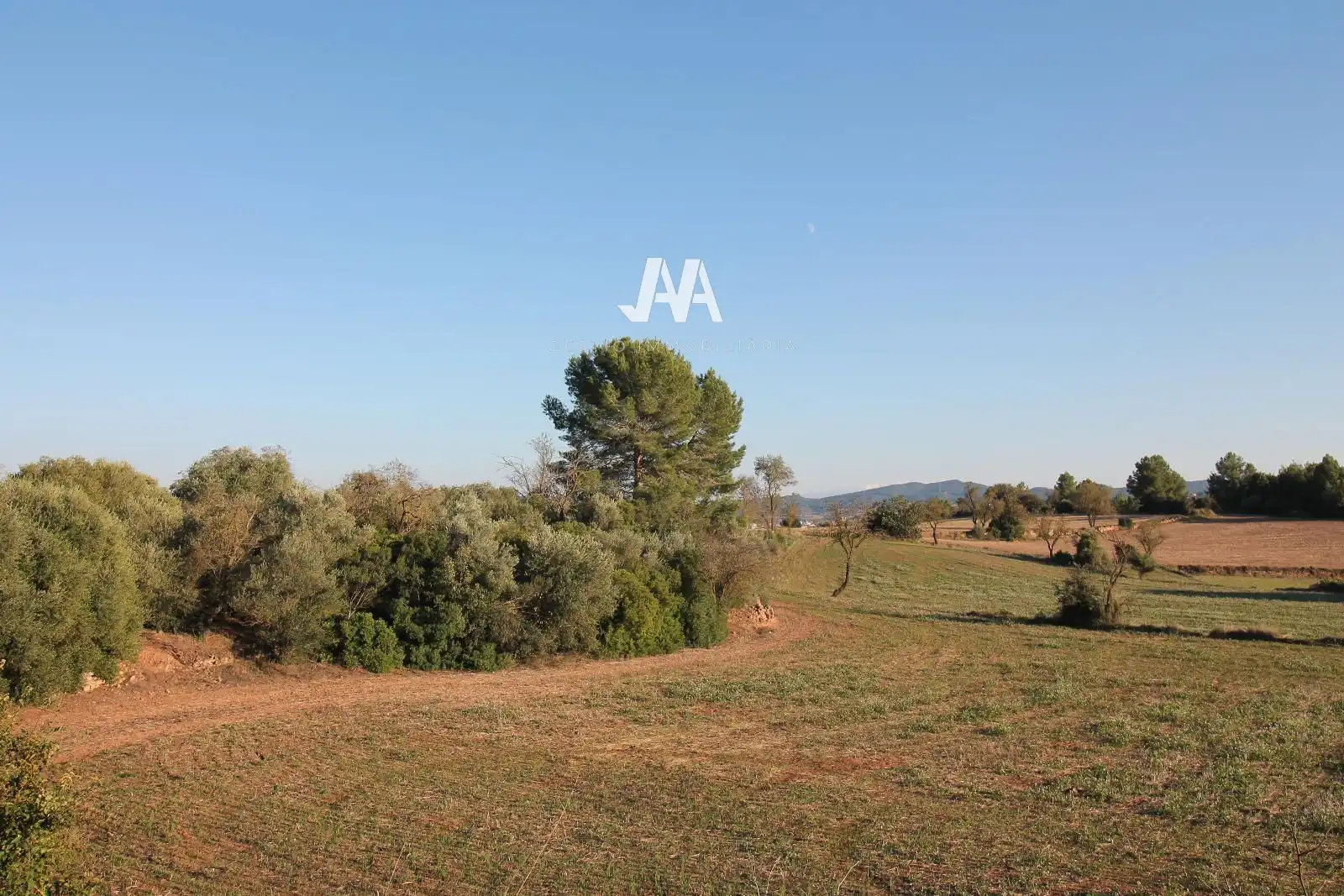 Xalet amb jardí en venda a Jorba, imagen 12