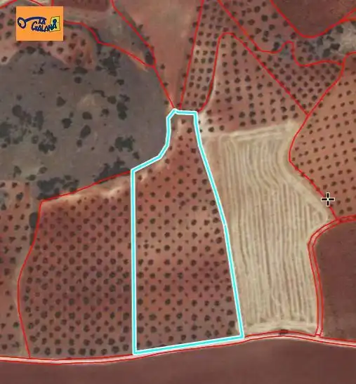 Rural land for sale in Valdepeñas