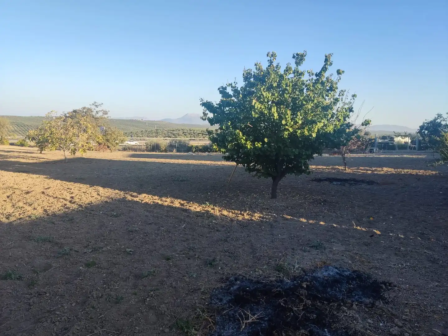Terreni e lotti in vendita a Mengíbar, imagen 4