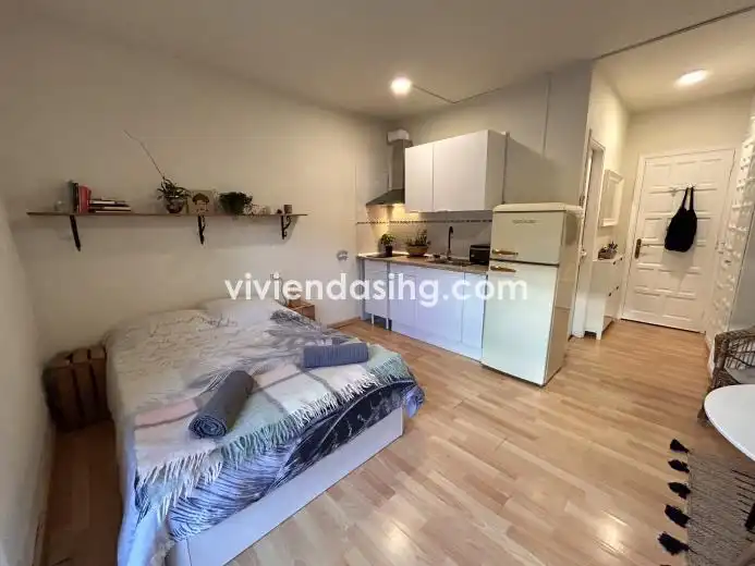 Studio zur Miete in Calle Dinamarca 6, imagen 4