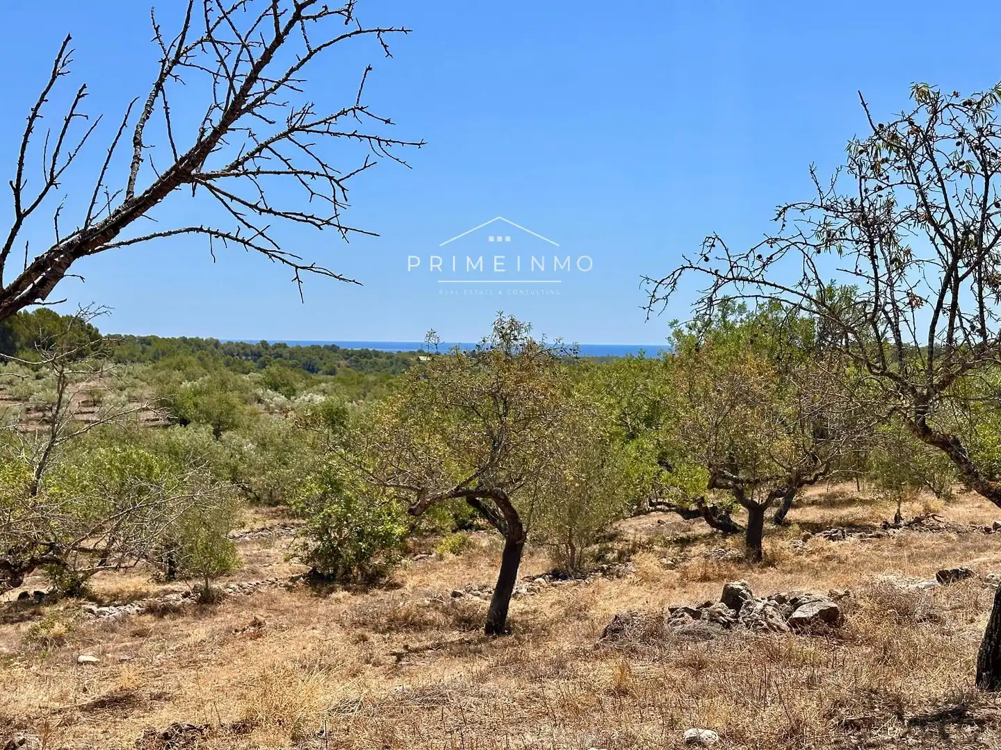 Finca rústica en venta en L'Ametlla de Mar 