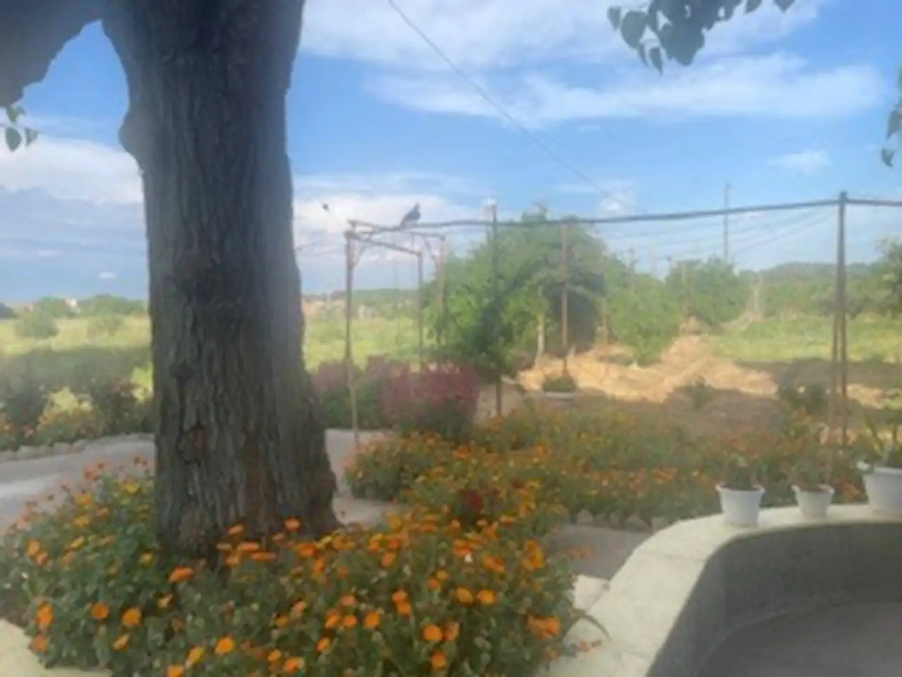 Jardí de Casa o xalet en venda en Lleida amb Calefacció, Jardí privat i Piscina