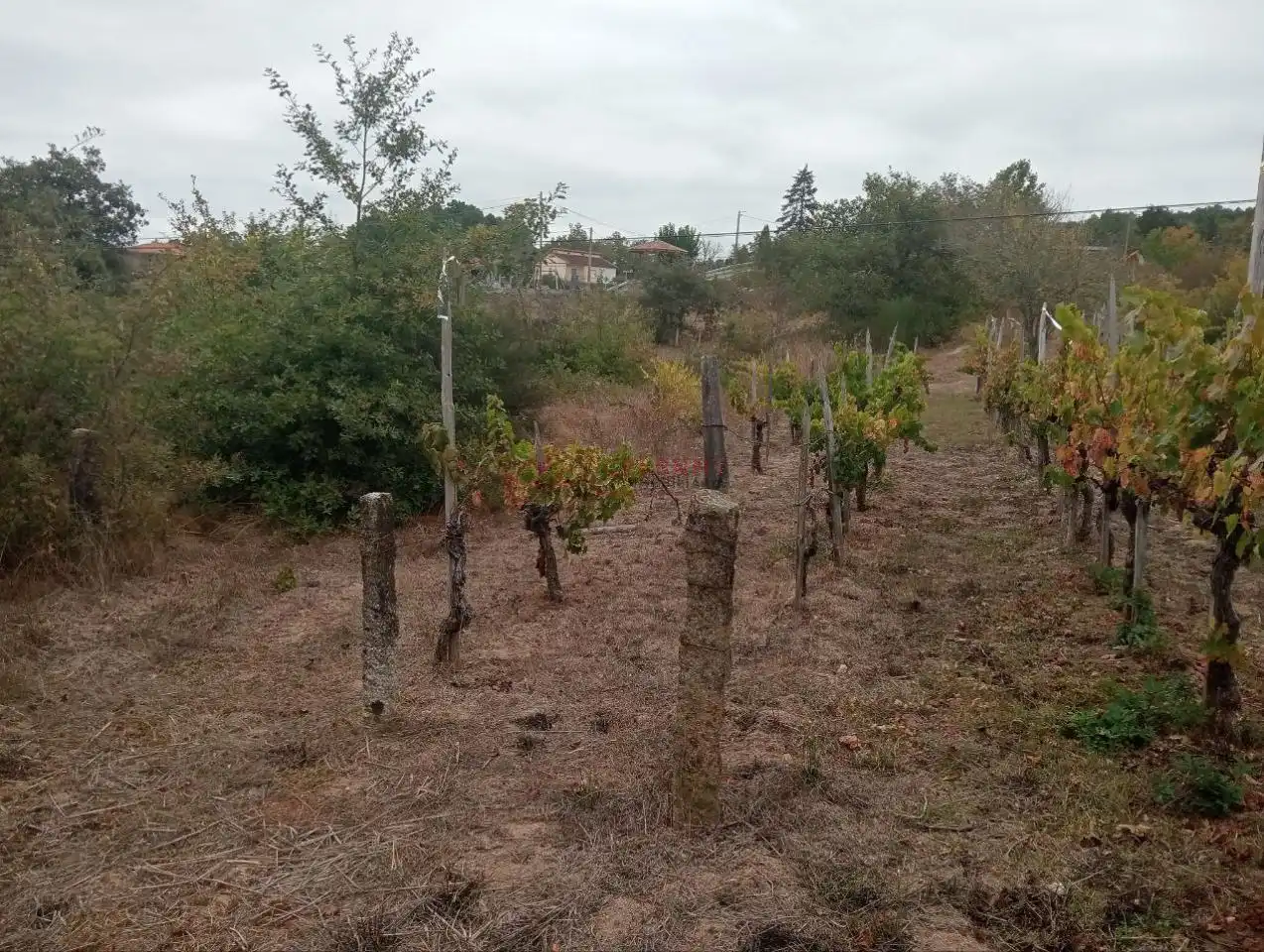 Residencial en venda en San Cibrao das Viñas
