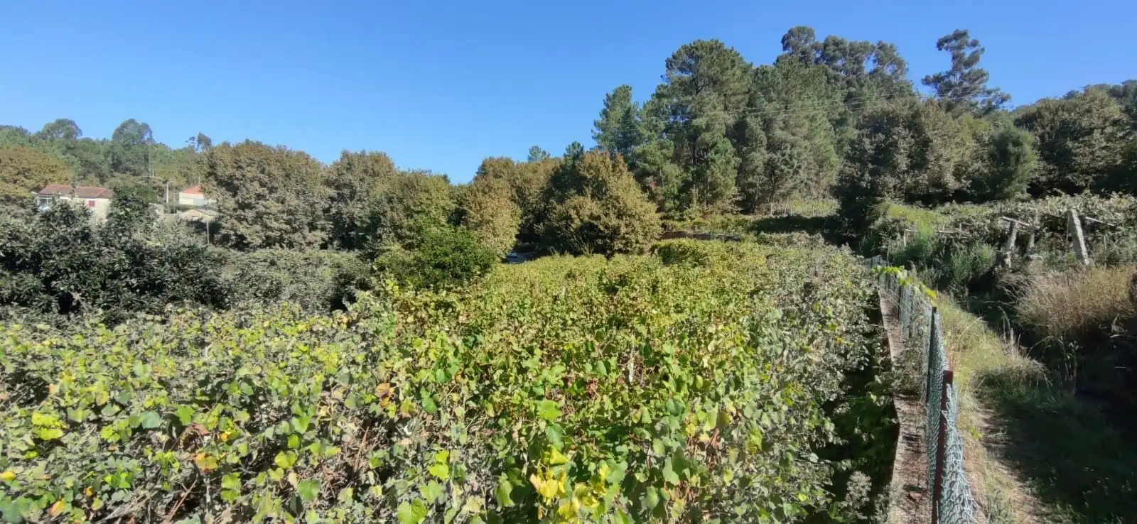 Casa o xalet en venda en Crecente amb Jardí privat i Moblat