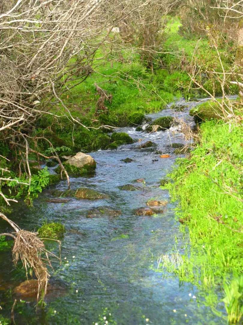 Terreni e lotti in vendita a Jarandilla de la Vera, imagen 15