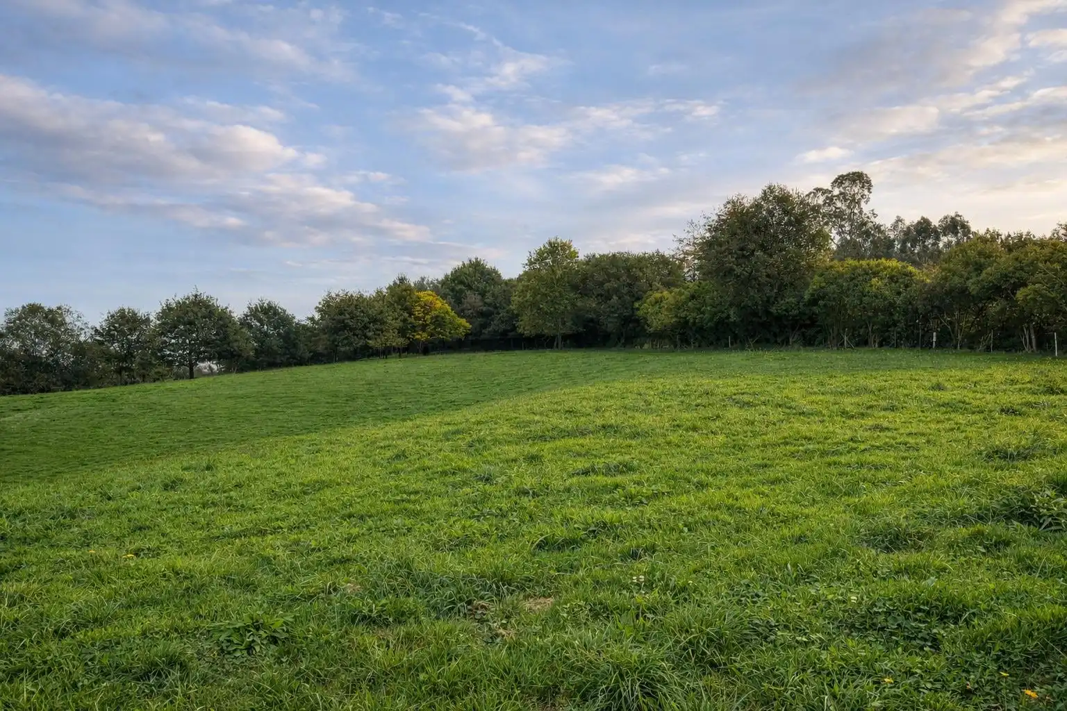 Land for sale in Comillas (Cantabria)