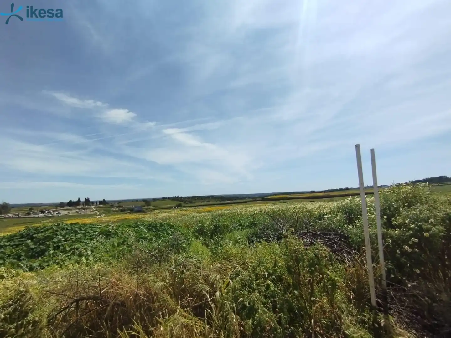 Terreni e lotti in vendita a Alosno pueblo, imagen 4