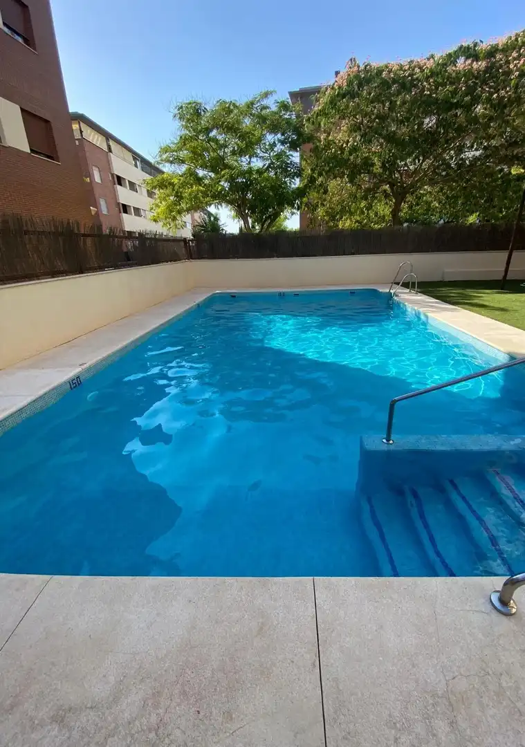 Swimming pool of Flat for sale in Mairena del Aljarafe