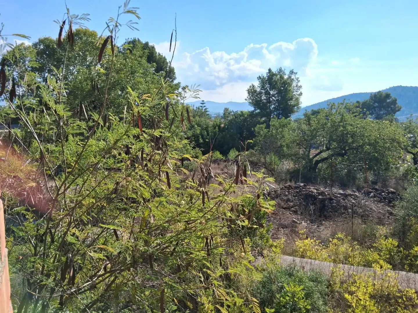 Wohnbaugrundstück zum Verkauf in L'Alcora, imagen 9