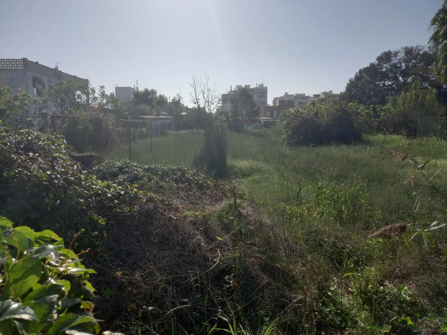 Terreny residencial en venda a Carrer Tortosa, imagen 3