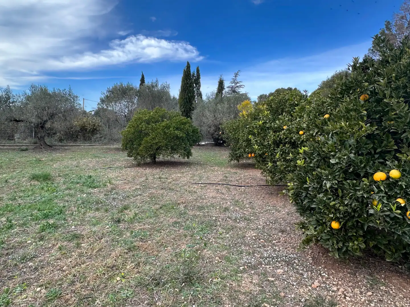 Finca rústica en venda en El Pla de Santa Maria amb Calefacció, Jardí privat i Traster