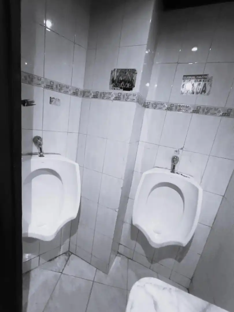 Bathroom of Commercial properties for sale in Zalla 