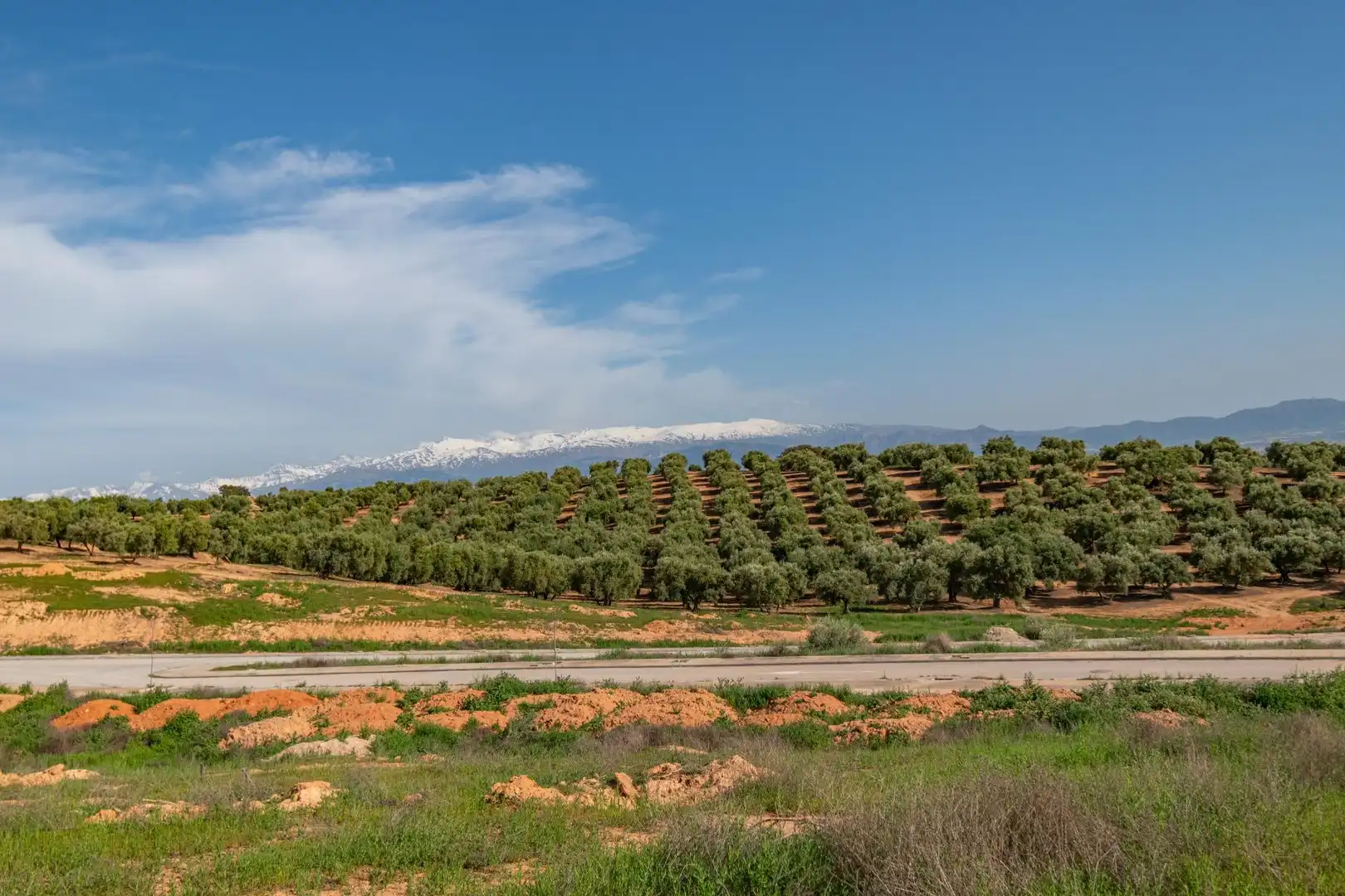 Residencial en venta en Albolote, Granada