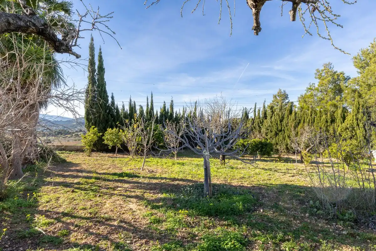 Villa mit Terrasse zum Verkauf in Poligono 17, Parcela, imagen 24