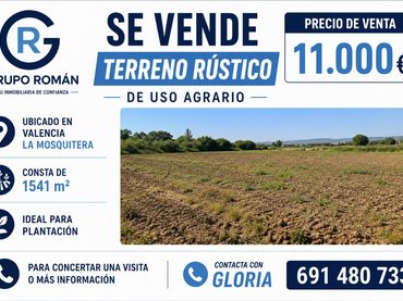 Terreny rústic en venda a La Viña - Montemar - San Jaime