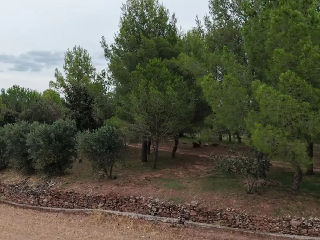 Terreno en venta en Manresa
