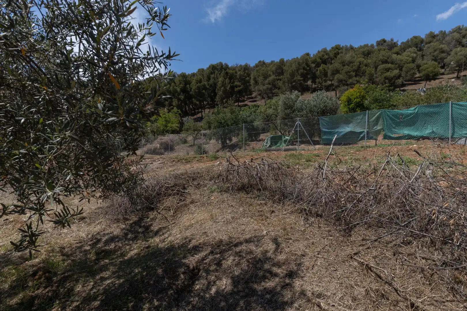 Terreni e lotti in vendita a Genil, imagen 11