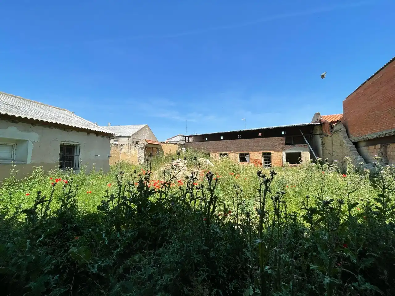 Finca rústica en venda en Olmos de Esgueva amb Jardí privat i Traster