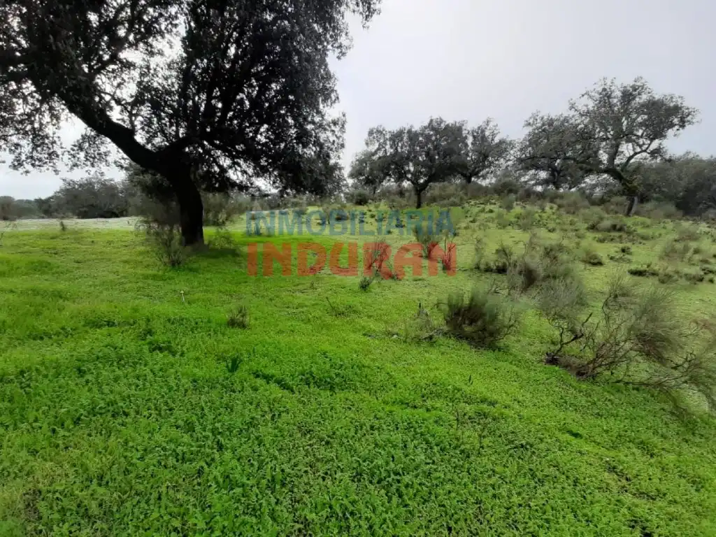 Finca rústica en venta en Millanes