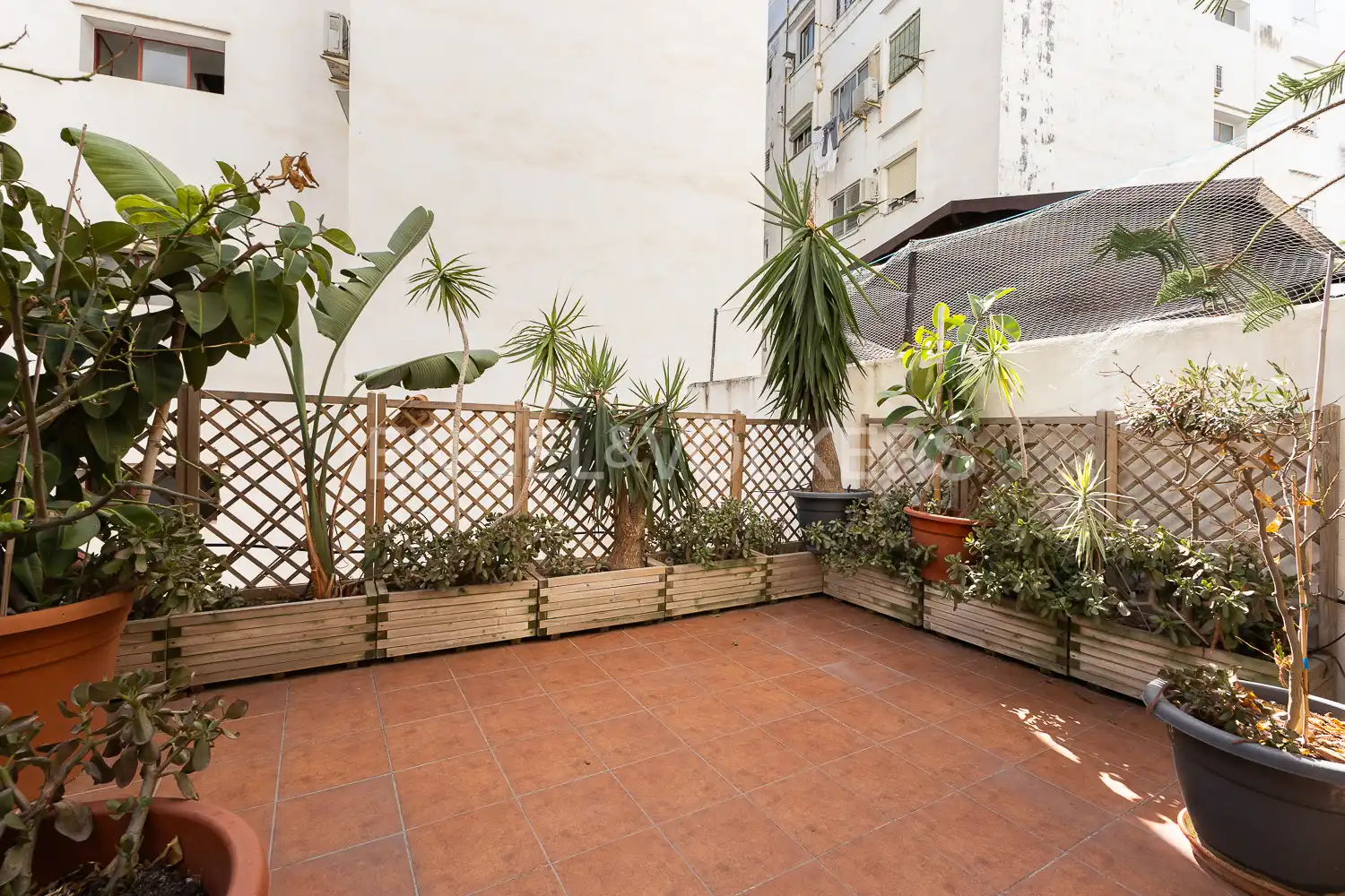 Terrasse von Wohnung zur Miete in Jesús