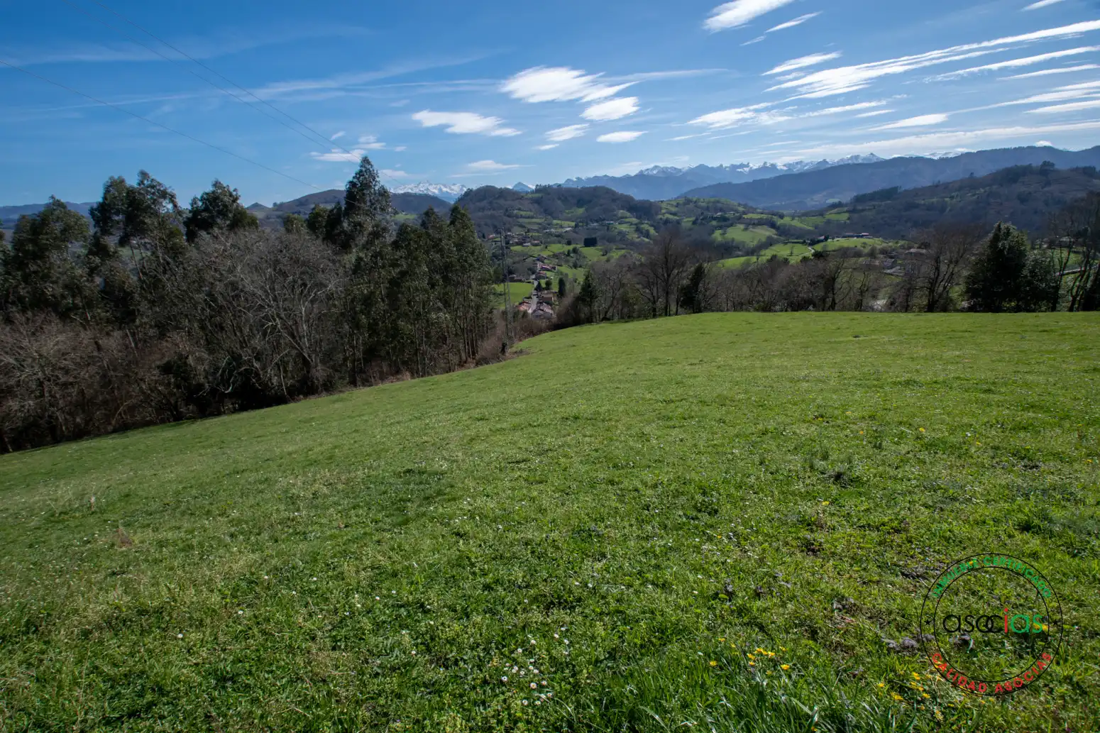 Terreno rustico in vendita a Cabranes - Naveda, imagen 23