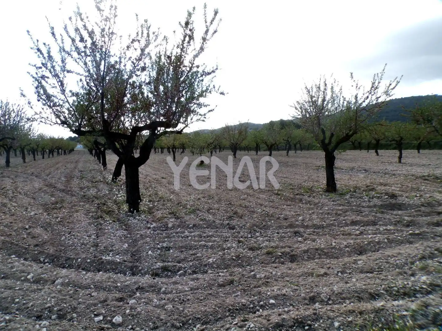 Terrenys i solars en venda a Castalla, imagen 2
