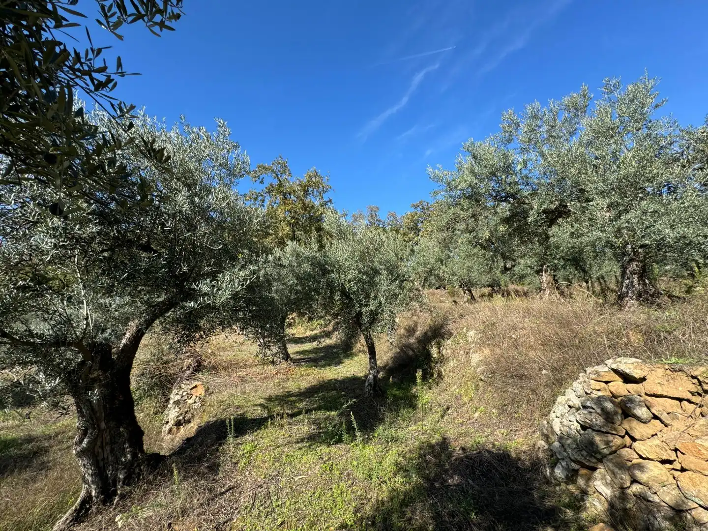 Finca rústica en venta en Candeleda con Jardín privado
