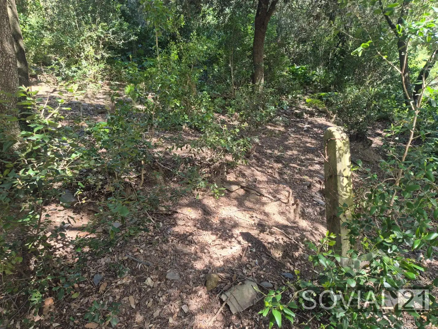 Terreno residenziale in vendita a Les Planes, imagen 8