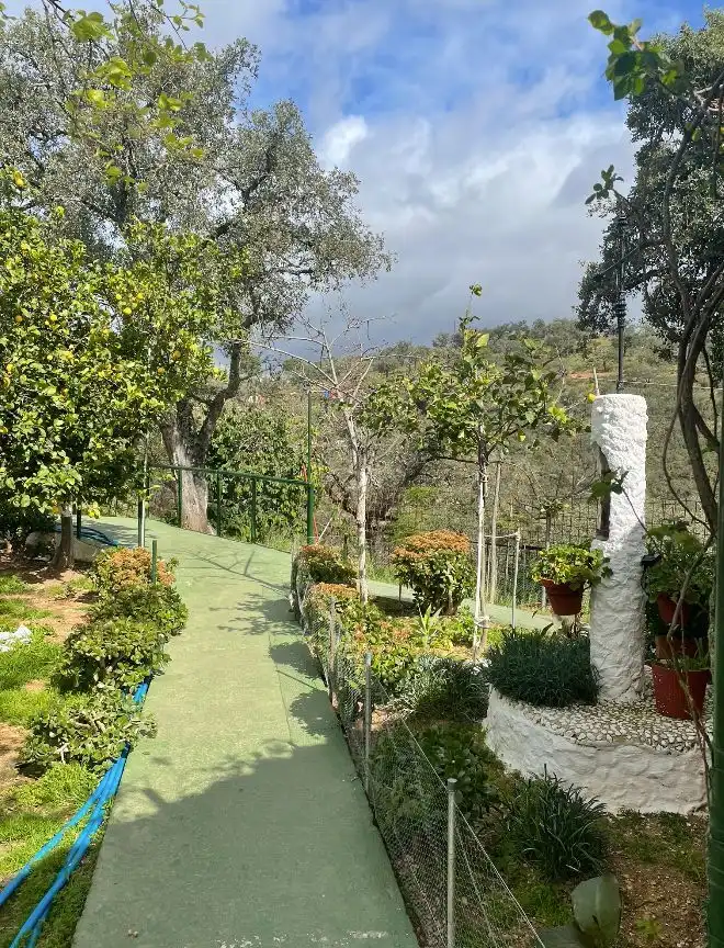 Jardín de Terreno en venta en Berrocal