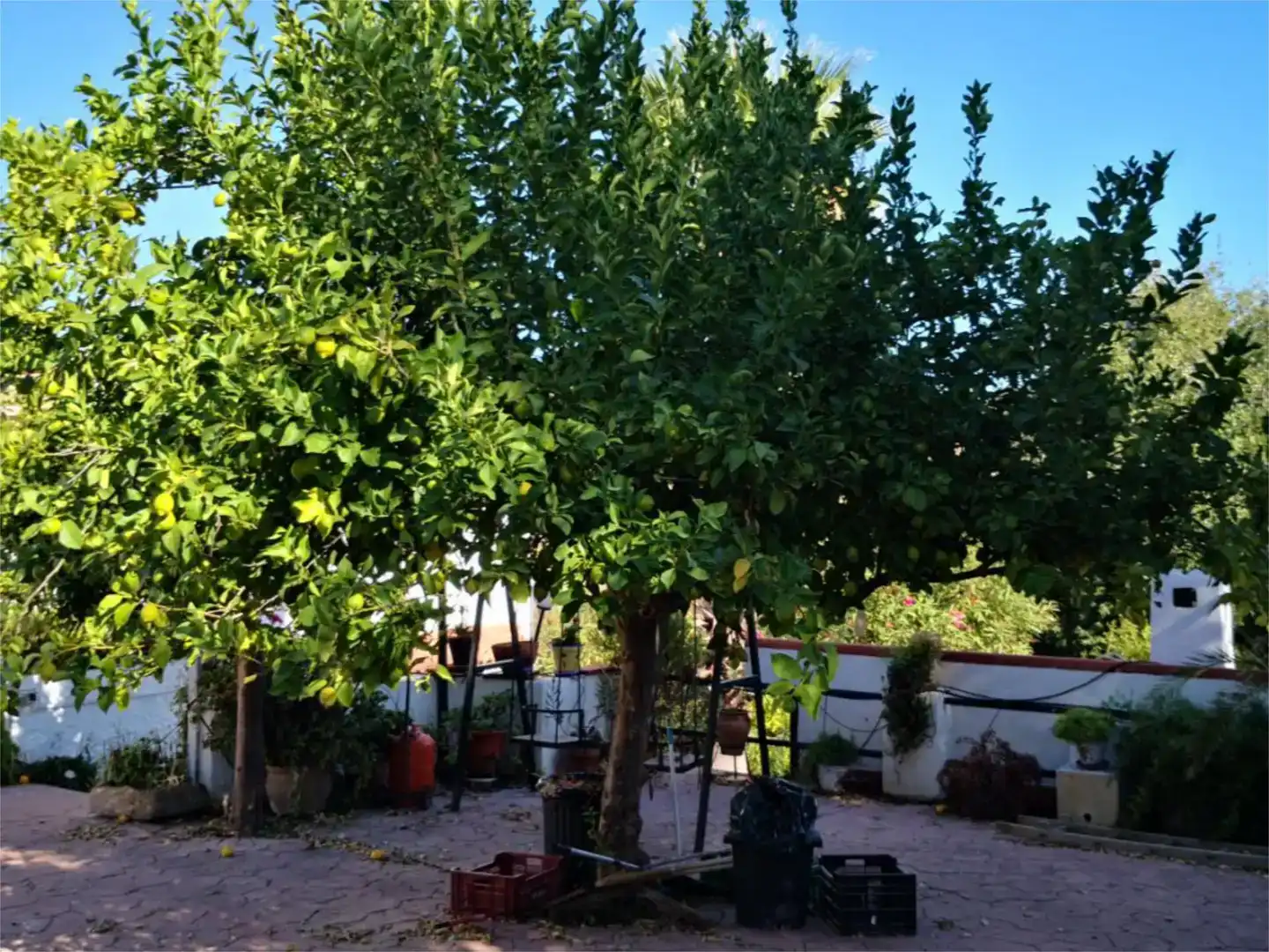 Jardí de Pis en venda en El Castillo de las Guardas amb Aire condicionat, Jardí privat i Traster