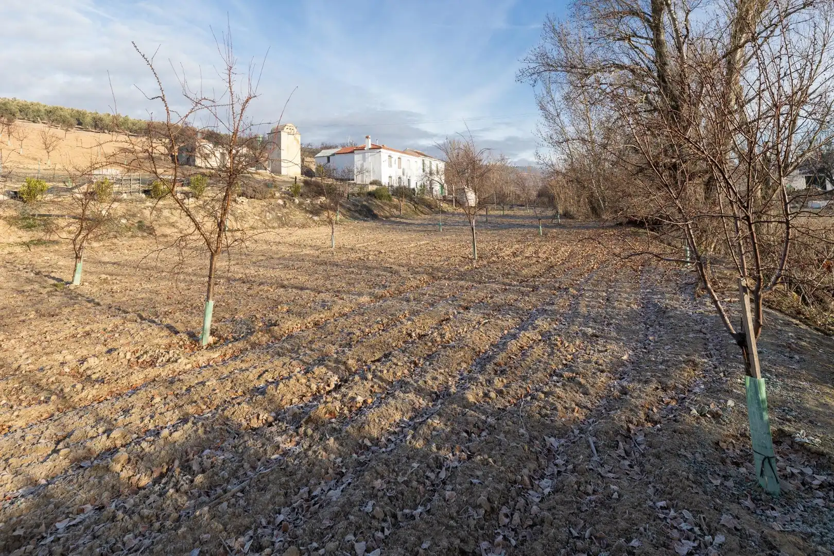 Finca rústica en venta en Píñar