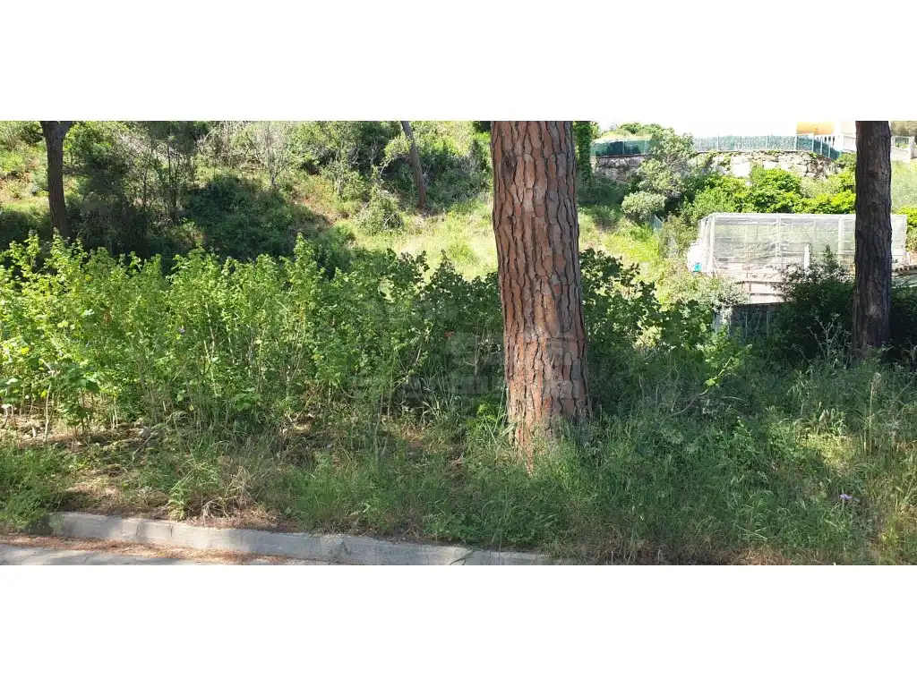 Residential for sale in Pals