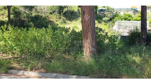 Photo 5 of Residential for sale in Calle Font de la Bruixa, 10, Platja de Pals, Pals