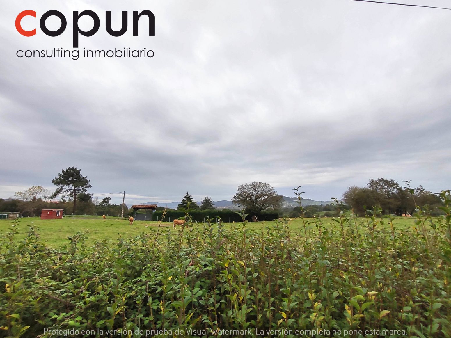 Residential for sale in Llanera