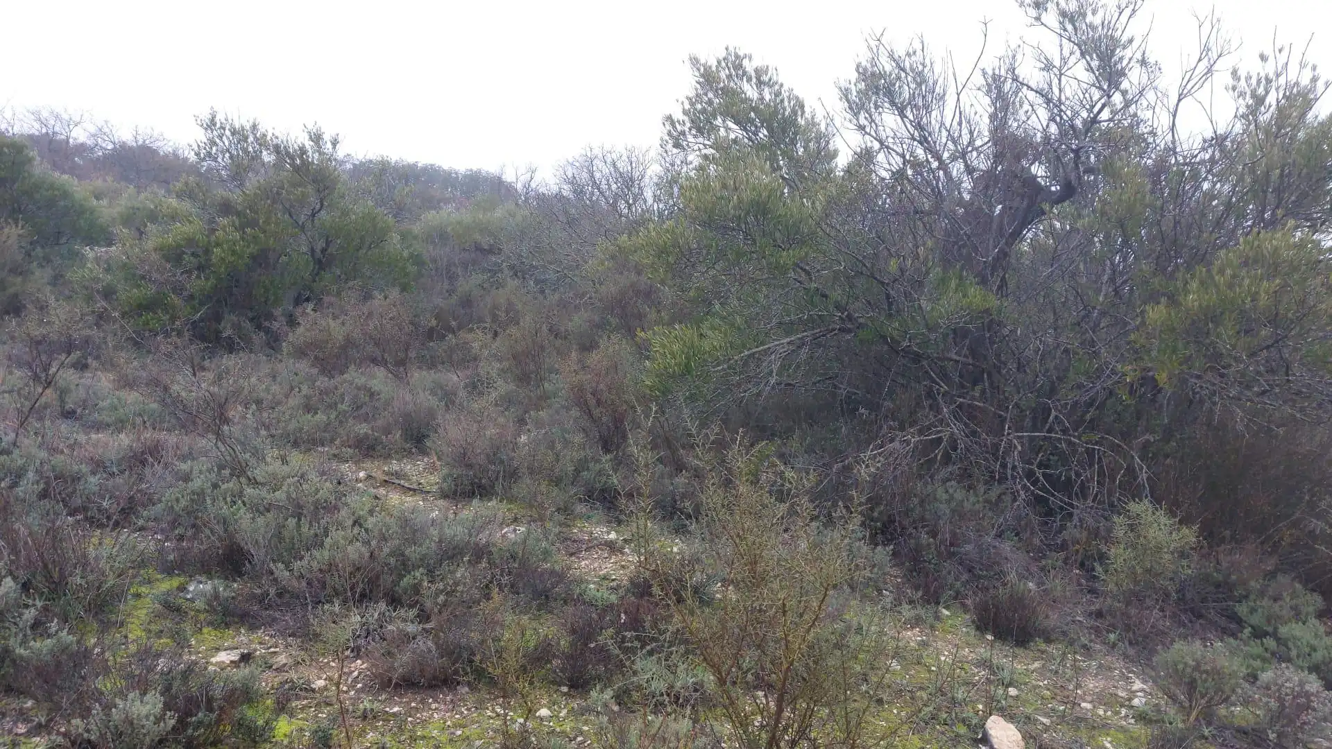 Grundstücke zur Miete in Loranca de Tajuña