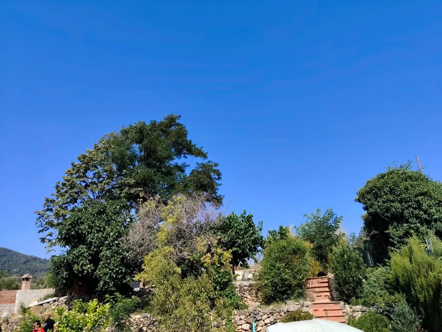 Land for sale in Maspujols
