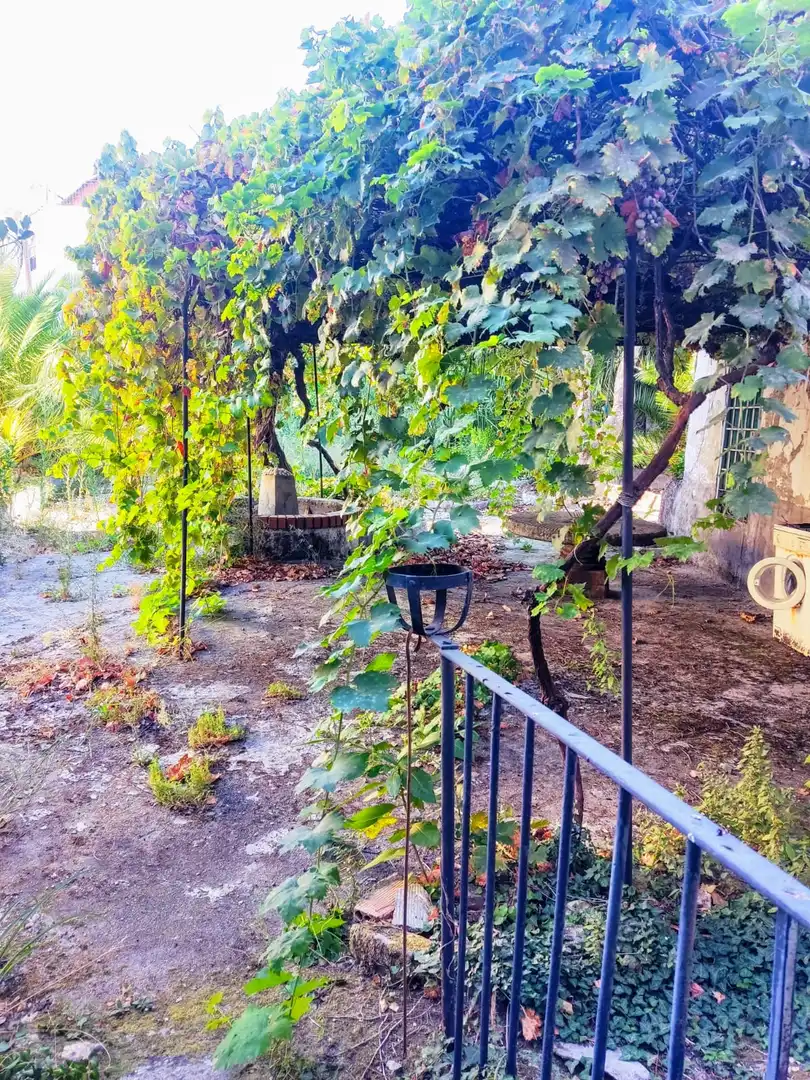 Jardí de Casa o xalet en venda en Jarandilla de la Vera amb Jardí privat
