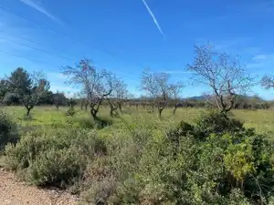 Terreno en venta en El Pont d'Armentera